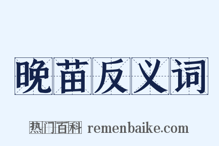 晚苗反义词是什么意思的图片